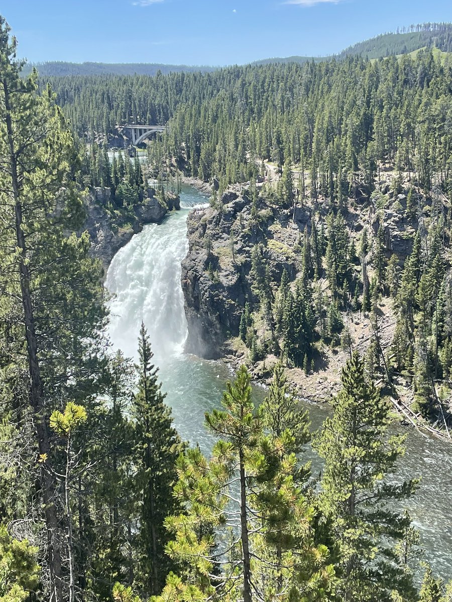 Tyler Chapman 2024 LHP 1B RF Jan 2006 GPA 3.9 tweet media