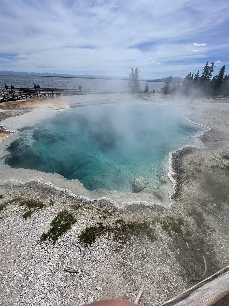 Tyler Chapman 2024 LHP 1B RF Jan 2006 GPA 3.9 tweet media