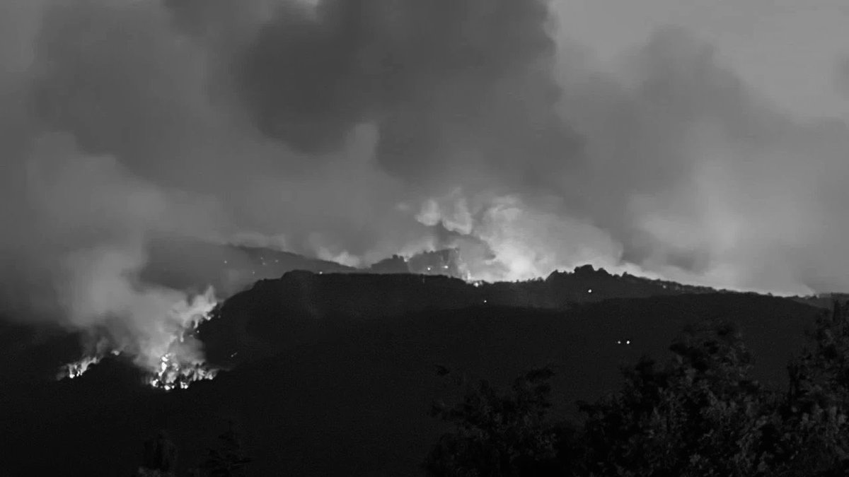 Eskişehir'in Seyitgazi ilçesinde meydana gelen orman yangınında, alevlerle mücadele ederken hayatını kaybeden 11 kahraman orman işçimizi derin bir üzüntüyle anıyoruz.

Bu acıyı yürekten paylaşıyor, hayatını kaybeden tüm emekçilerimize Allah’tan rahmet; ailelerine, yakınlarına ve
