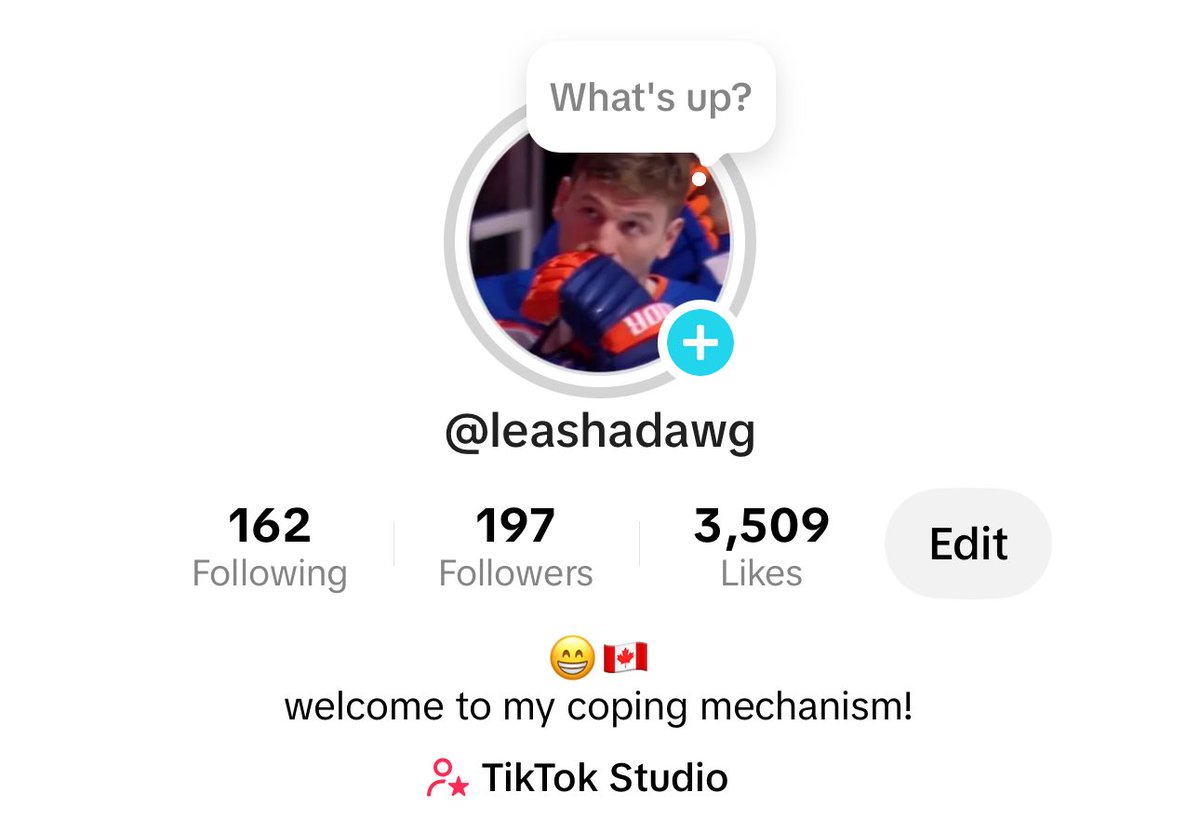 leashadawg's tweet image. leashadawg tiktok stocks are on the rise buy now while they're still low