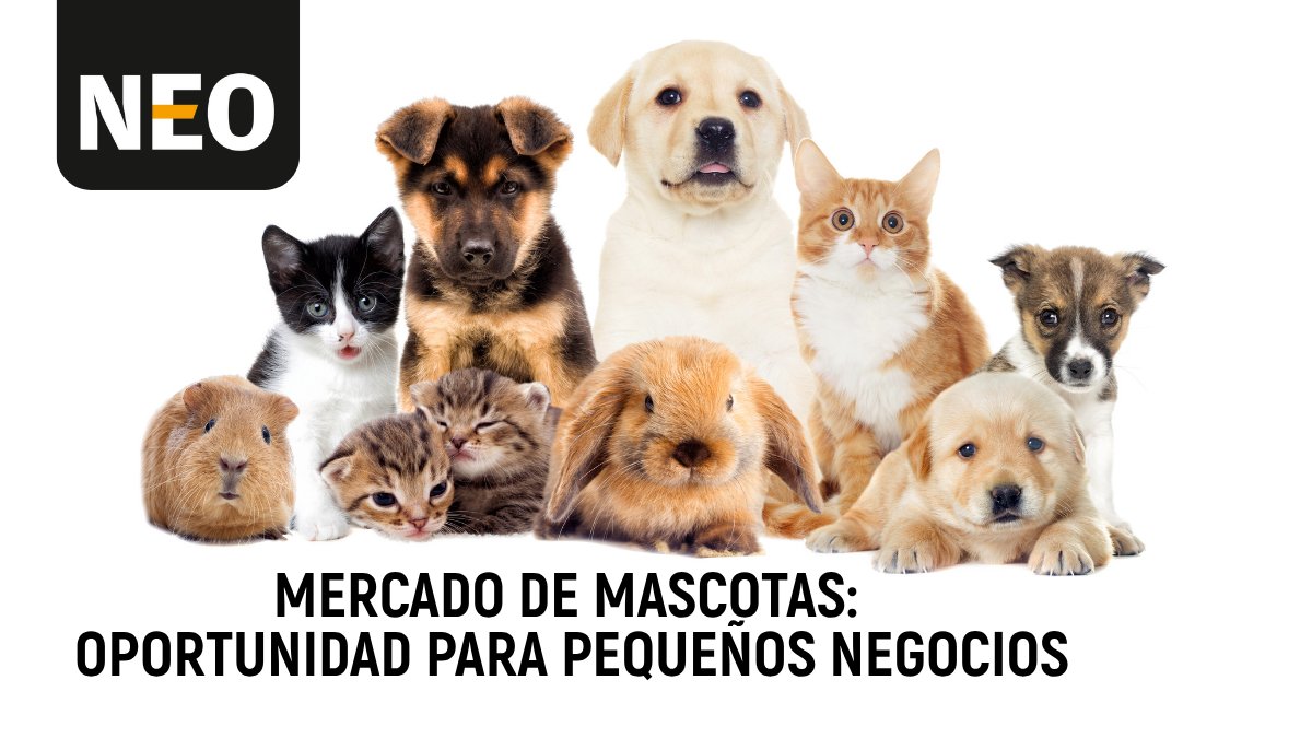 El mercado de #mascotas crece y puedes hacer que tu negocio crezca con él. Cada vez más personas invierten en productos de calidad para sus mascotas, transformando esta industria en una oportunidad para los #pequeñosnegocios. Descubre cómo lograrlo: n9.cl/pt7cr #pets