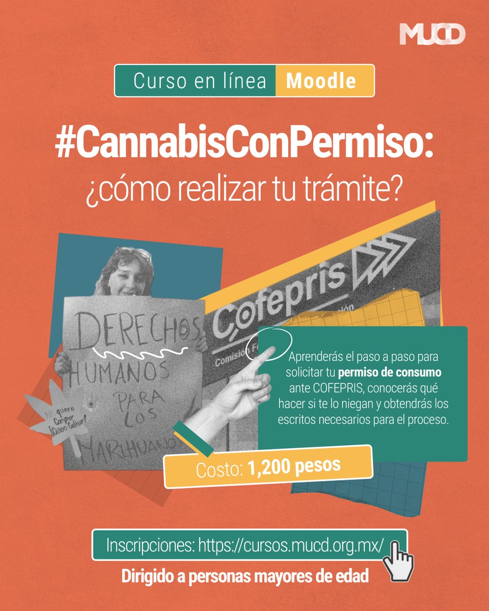 MUCDoficial's tweet photo. ¿Quieres tener un permiso de #cannabis para consumo personal? 😏

✍️🖥️ Inscríbete a nuestro curso #CannabisConPermiso para aprender a tramitarlo paso a paso ante COFEPRIS, ¡también aprenderás qué hacer si te lo niegan! ⚖️

https://t.co/wIhif590VM
Este curso es para mayores de edad, de uso personal sin fines de comercio o suministro a terceros.

#DerechosHumanos #ConsumoResponsable #ConsumoConsciente #Mariguana #420life