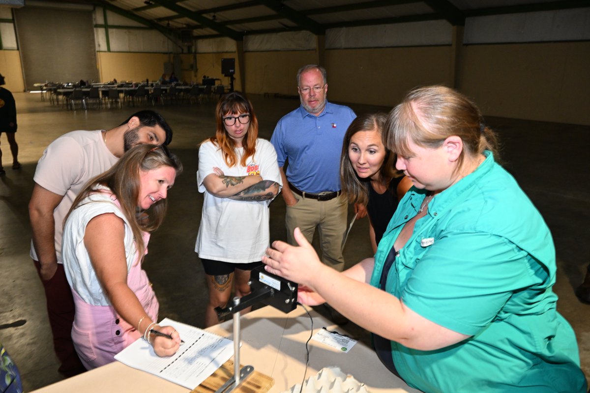 FvsuAg's tweet image. More than 70 people attended two classes to obtain egg candling certification in Valdosta, Georgia. @FVSU Cooperative Extension and the Georgia Dept. of Agriculture organized the activity.