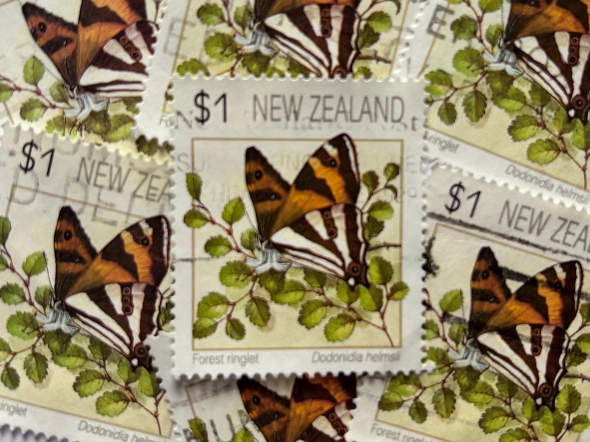 SPStamps's tweet image. New Listing - New Zealand Postage Stamps/Butterflies/Dodonidia Hekmsii/1991
simplypostagestamps.etsy.com/listing/433746…
#butterfly #butterflies #butterflystamp #postagestamp #newzealand #newzealandstamp #stamps #philately #stampcollecting #stampcollection #journaling #postagestampart #envelopeart