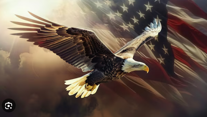 WEDNESDAY PATRIOTS who follow back:
<a href="/SijiBuk/">adebukola</a> 
<a href="/Wolfways44/">Wolfways 🇺🇸🐺</a> 
<a href="/TerryTheDude73/">Terry 🇺🇸</a> 
<a href="/chiefmon1/">rickster</a> 
<a href="/FuzzyMarineVet/">Steven Seys</a> 
<a href="/Roxanne22Ramsey/">Roxanne (Roxy)♥️🙏🇺🇸🌹</a> 
<a href="/bongarmyssgt/">Jason King</a> 
<a href="/Mz_Sasee/">Kristie Gourley</a> 
<a href="/OliverLipinski/">J. Oliver Lipinski</a> 
<a href="/PalmDesertRat/">Palm Desert Rat</a> 
<a href="/PieceOfFlair/">Anne</a> 
<a href="/whiteshot/">Dan</a> 
<a href="/jrnymn89/">Jman89</a> 
<a href="/Politrix0311/">🇺🇸Politrix2🇺🇲</a>