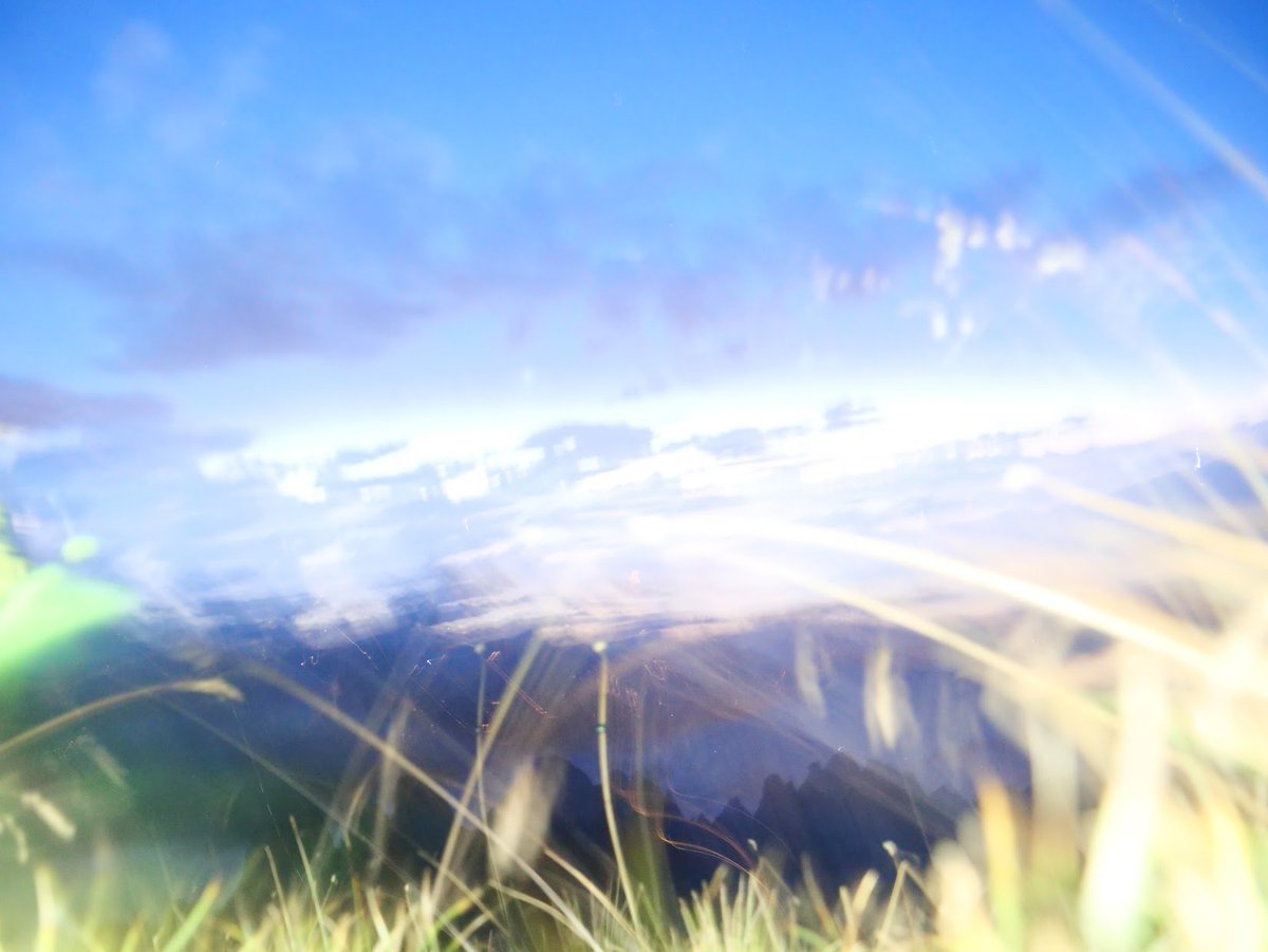 dfsc_10's tweet image. 
