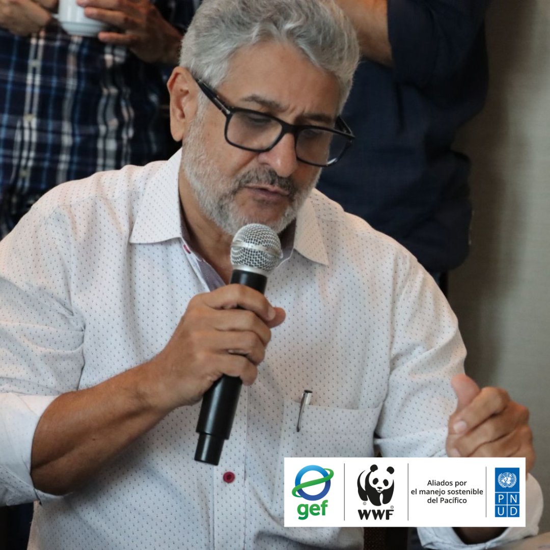 WWF_MAR's tweet photo. 📍 Ciudad de Panamá

Representantes de 7 países cerraron la etapa técnica del #ADT regional, validando los principales problemas ambientales del Pacífico Costero Centroamericano 🌊

¡Ahora el reto es construir juntos el Programa de Acción Estratégica! 🤝

🇲🇽 🇬🇹 🇭🇳 🇨🇷 🇵🇦 🇨🇴 🇪🇨

🔗Lee más: https://t.co/8uoWDeIw7U

@PNUDPanama @theGEF @PNUD_CR @MiAmbientePma @SICAOSPESCA @IWLEARN 
#PacíficoSostenible #GEMPACA #CooperaciónRegional