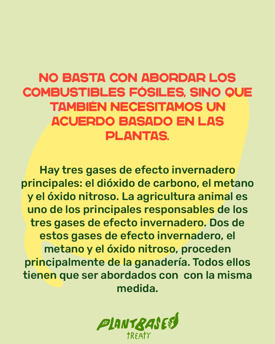 abppuebla's tweet photo. La agricultura animal es una de las mayores responsables de la crisis climática.
🔥 Emisiones de metano y óxido nitroso
🌳 Deforestación
💧 Agotamiento del agua
🐟 Zonas muertas en océanos
Y sin embargo… casi nadie habla de ello. https://t.co/aHRm5VmQWv
