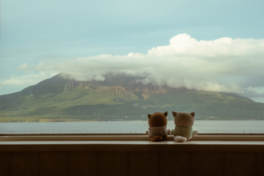 nui_and_photo's tweet image. 桜島を眺める鯉月ふぉぜ

大きいねえ