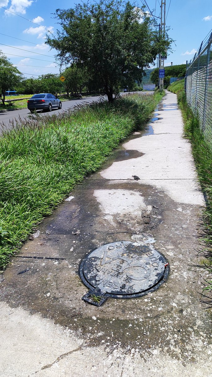 carlosrode's tweet photo. @CEAservcliente apoyo tenemos el reporte CS0673295 en Ciudad del Sol en avenida Peñaflor, llevamos más de ocho días con la fuga de drenaje, esto es un foco de infección terrible, solicitamos su apoyo inmediato pues estás composturas están dentro de lo que pagamos mes a mes. https://t.co/7tJ7eNj3MT