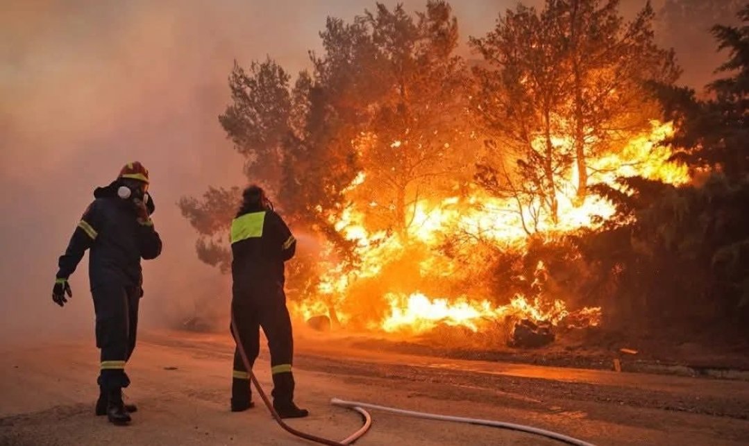 Kateliadi's tweet image. Δεν θέλουμε συμπαράσταση. Να σιωπήσετε θέλουμε μόνον. Σςςς... Όσα πιο λίγα πείτε, τόσο το καλύτερο και για σας και για μας #ξεκαθαρα Ευχαριστούμε τους πυροσβέστες που με τόσα λίγα μέσα και τόσους άχρηστους γυρόν τους, κάνουν ότι μπορούν 🙏#σκασμοοιρητορες
