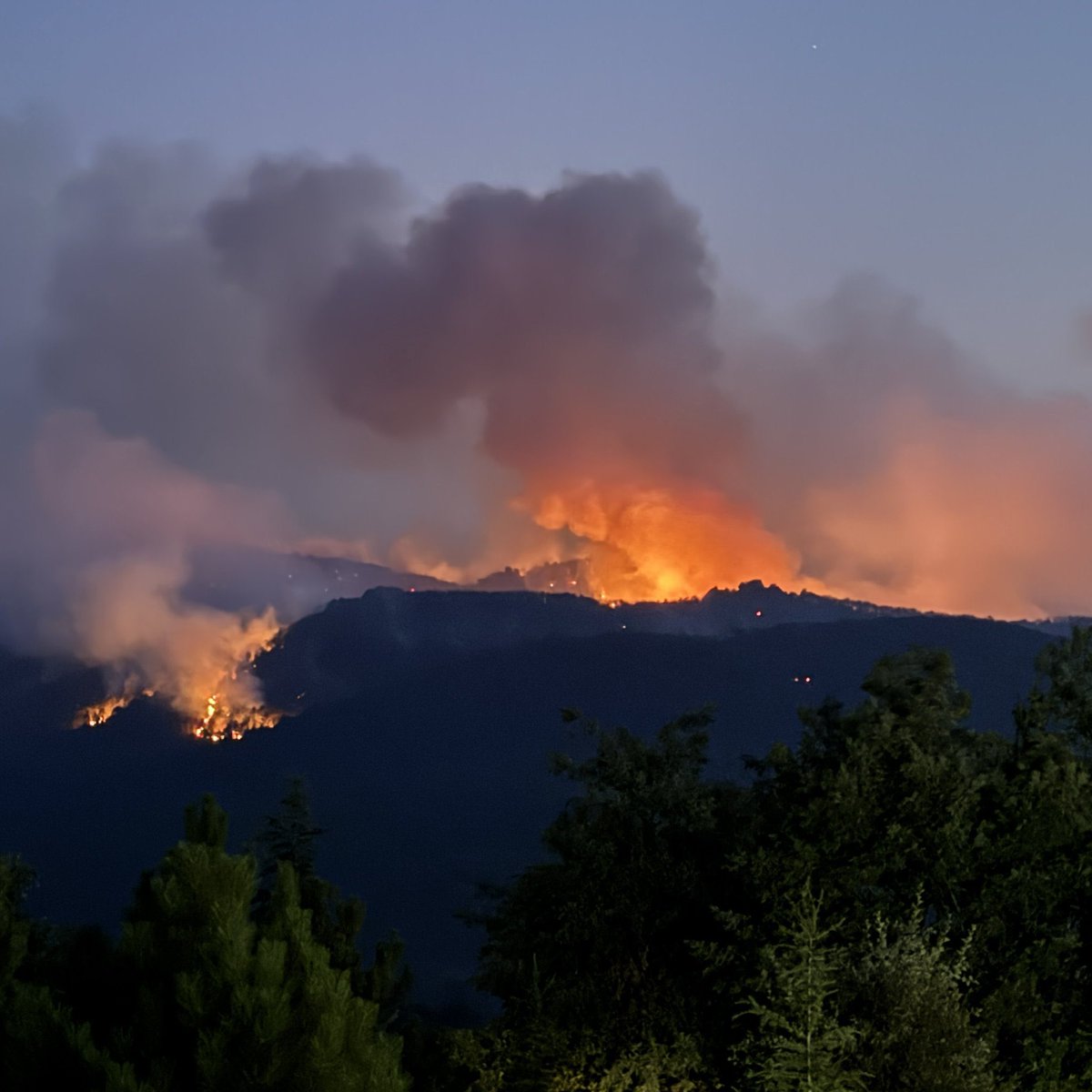 Eskişehir'de çıkan orman yangınında hayatını kaybeden 10 orman işçimizin isimleri belli oldu:

— Sercan Utmi
— Hilmi Şahin 
— Eyip Dereli
— Alperen Özcan
— Enes Kızılyel
— Muharrem Can
— İlker Onarıcı
— Tekin Enes Sarıyıldız
— Bayram Eren Arslan
— Tolunay Kocaman