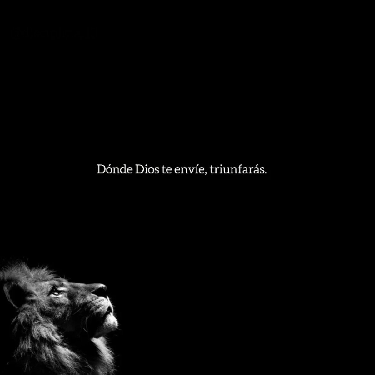 DIOS Une a Sus Hijos (@diosunesushijos) on Twitter photo 