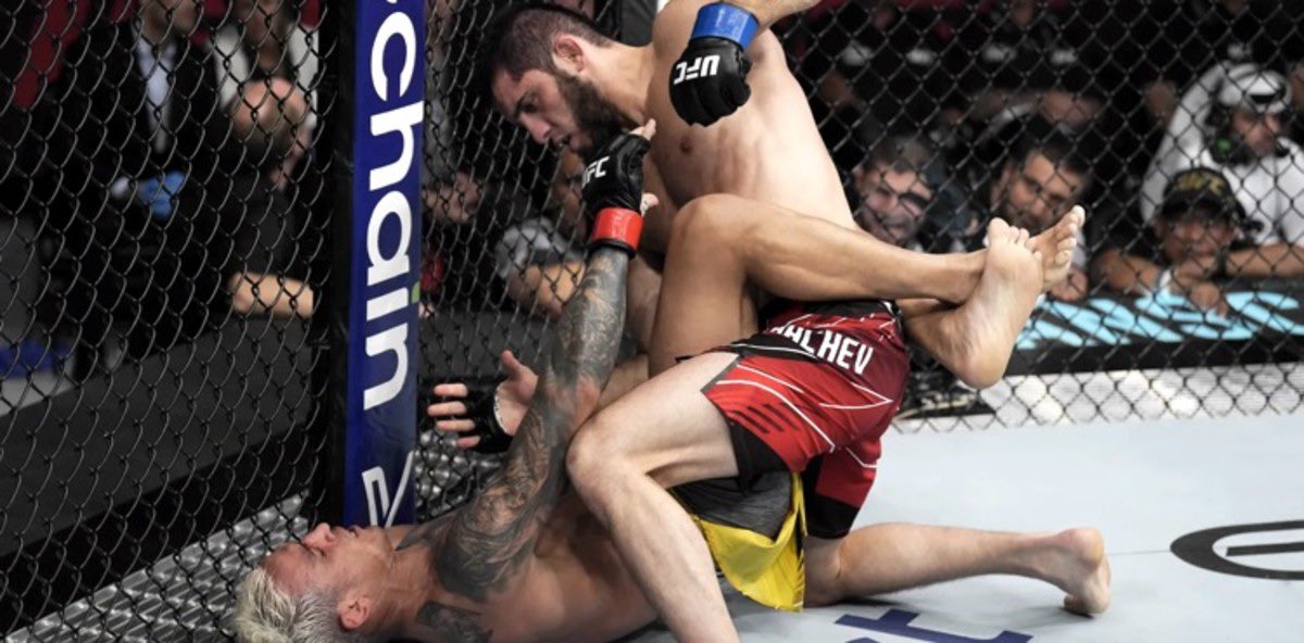 TooRealMMA tweet media