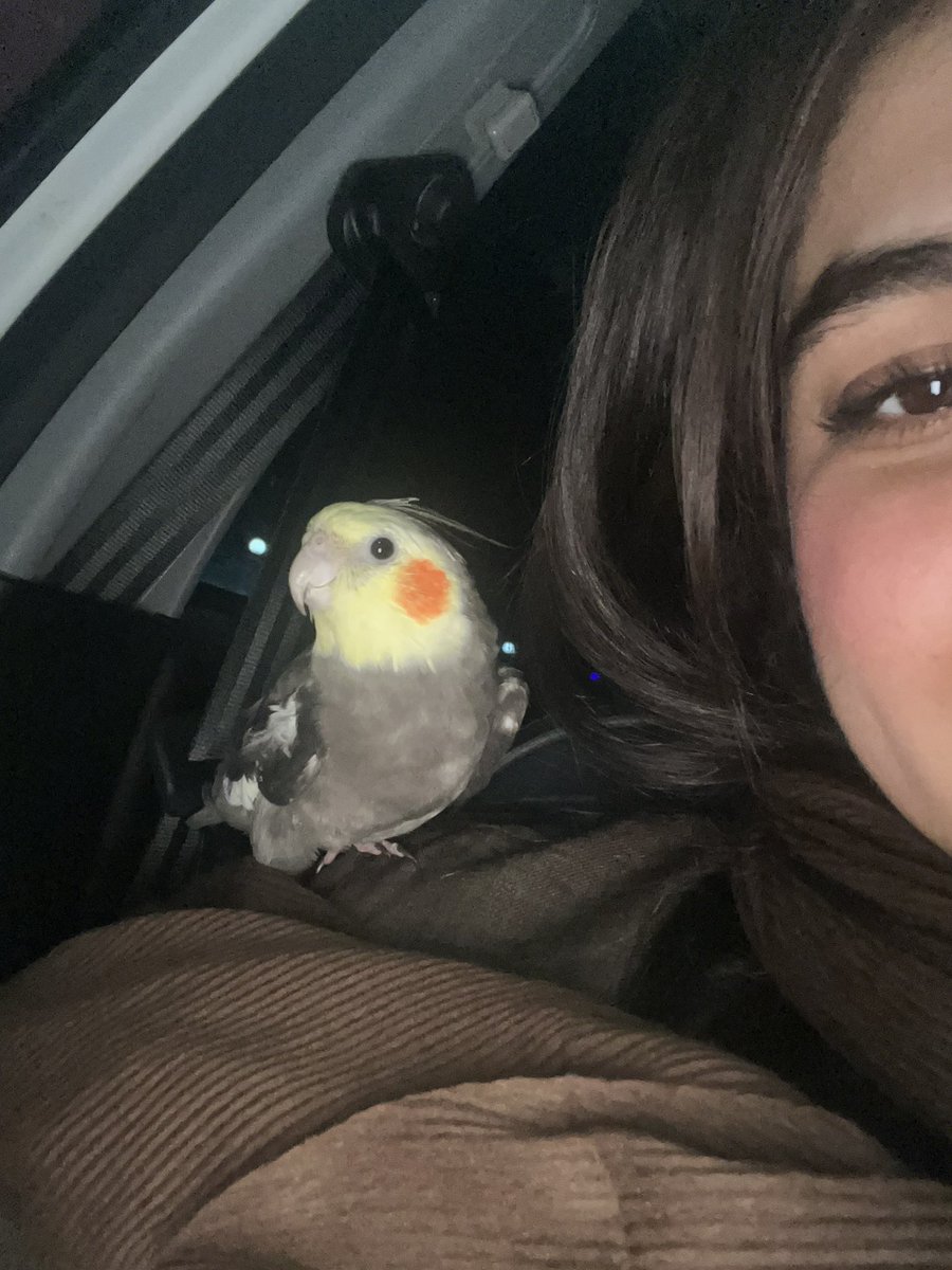 farahpld's tweet photo. قربون ریختت برم مادر
دلم میخواد برای هر نفست جون بدم♥️ https://t.co/qbV8GnYGWj