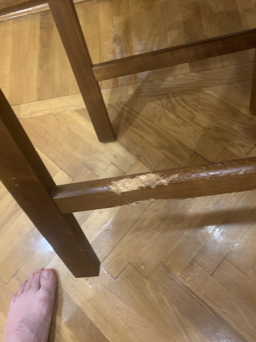 Valchenzo's tweet image. Она освоилась, играет, иногда лежит и пукает, иногда грызет диван (пытается)
Купил ей игрушек мешок, чтоб она зубы чесала, потому что стул уже сгрызла