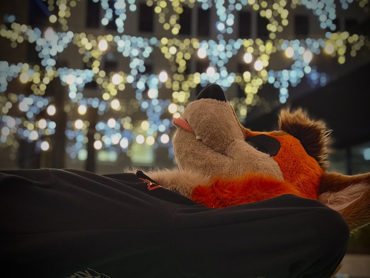 thecosmicmedia's tweet image. Eepy fox

🦊: @OneShotFox