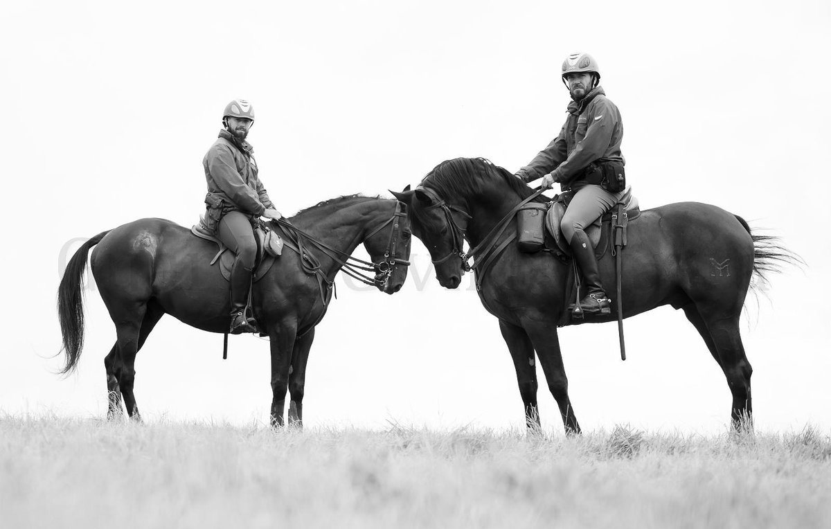 NavarraGC's tweet image. Complicidad, lealtad y unión 🏇🏻
181 años galopando juntos 💚
El esfuerzo y sacrificio por la seguridad no tiene horario, esta noche nuestras patrullas velarán por tu descanso
✨✨✨🌙
Buenas ✨🌙
✨✨✨✨✨🌙
Noches ✨✨✨🌙