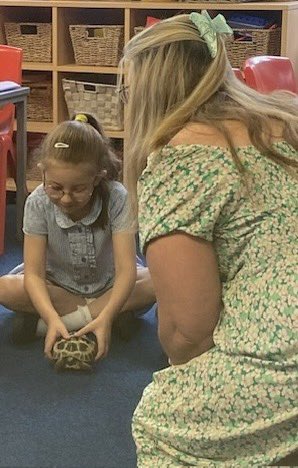 thingwallprima1's tweet image. 💙💛 Y2 had a surprise visitor this last week. Ms Durn brought Zeus into school for a visit-he’s a Russian Tortoise. Zeus was very friendly and well behaved. Y2 were calm and respectful around him and Ms Durn was asked all sorts of questions about his care! @OakTreesMAT 💛💙