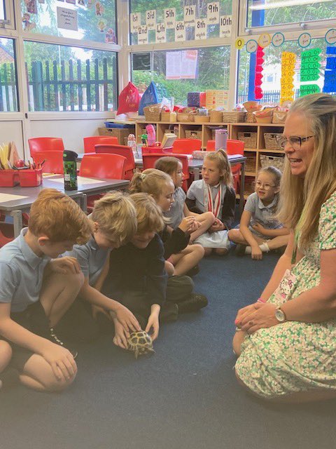 thingwallprima1's tweet image. 💙💛 Y2 had a surprise visitor this last week. Ms Durn brought Zeus into school for a visit-he’s a Russian Tortoise. Zeus was very friendly and well behaved. Y2 were calm and respectful around him and Ms Durn was asked all sorts of questions about his care! @OakTreesMAT 💛💙