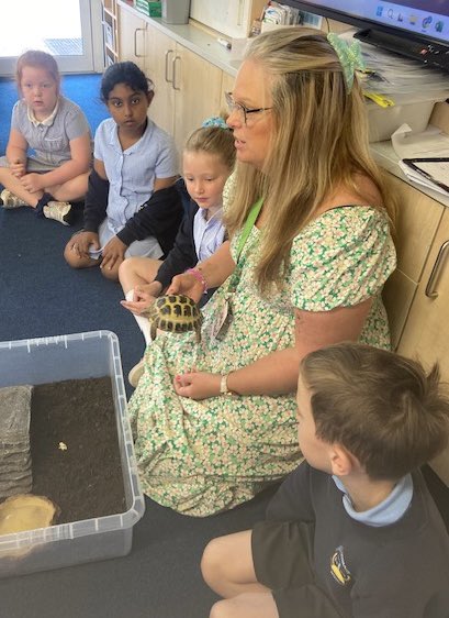 thingwallprima1's tweet image. 💙💛 Y2 had a surprise visitor this last week. Ms Durn brought Zeus into school for a visit-he’s a Russian Tortoise. Zeus was very friendly and well behaved. Y2 were calm and respectful around him and Ms Durn was asked all sorts of questions about his care! @OakTreesMAT 💛💙