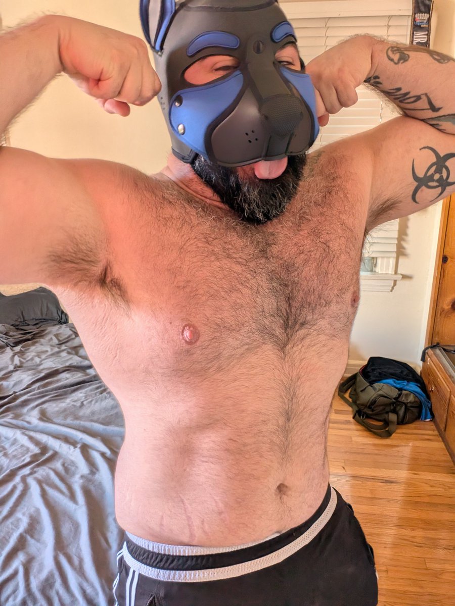Do you prefer a smelly Boy, or a smelly dog?