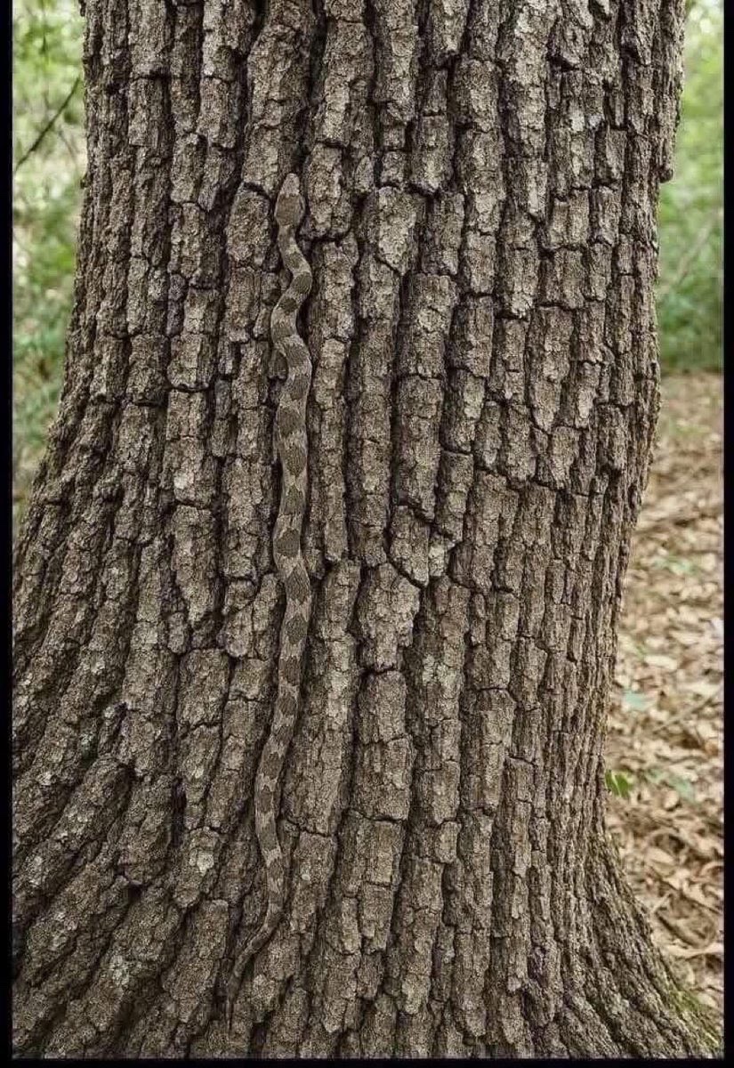 What do you see in this picture?