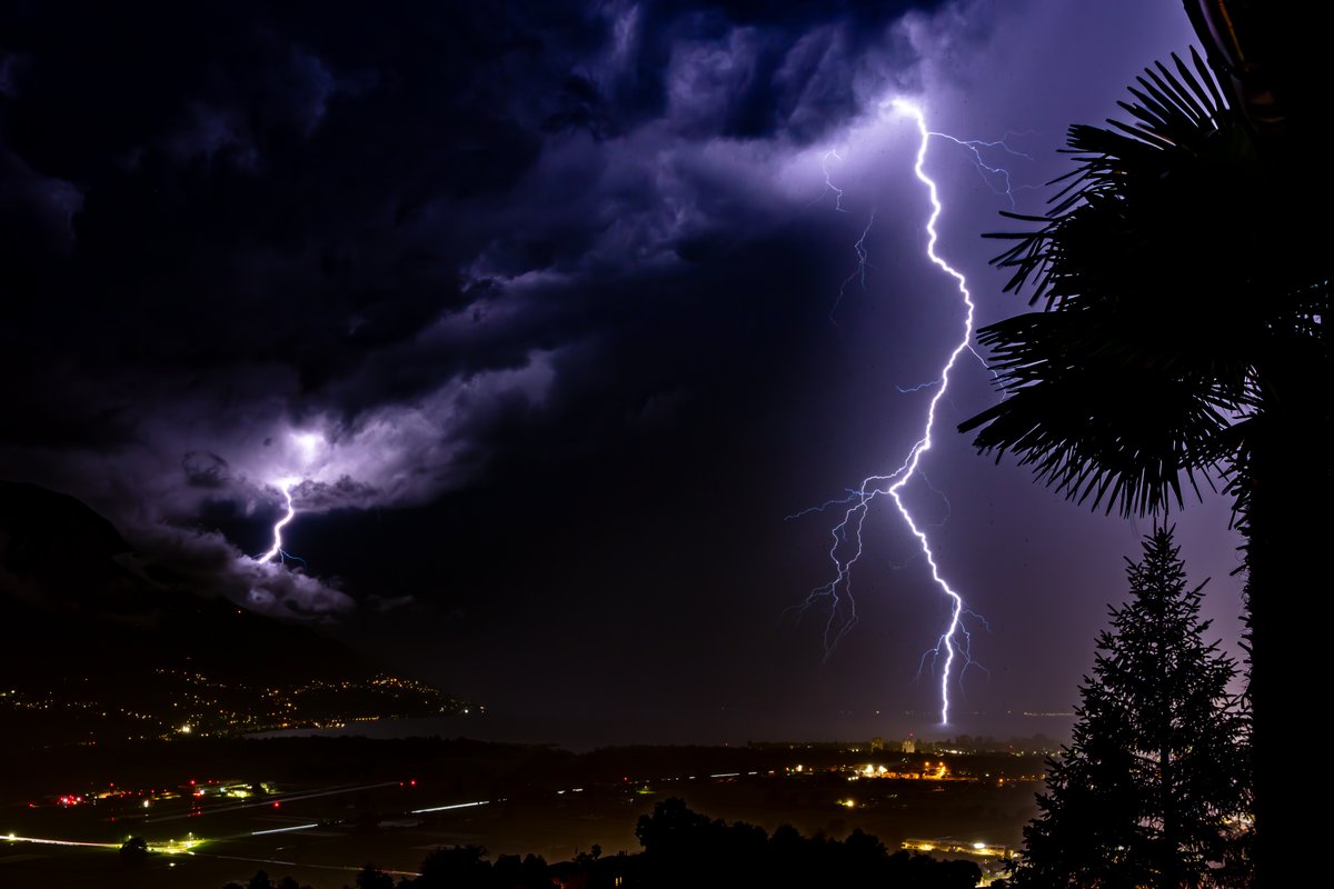 Markus Pfister tweet media