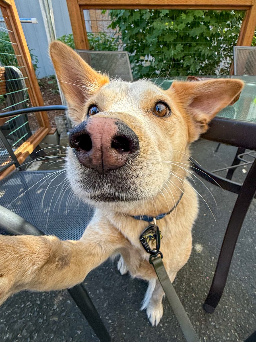 gm just wondering does anyone else love bagels?