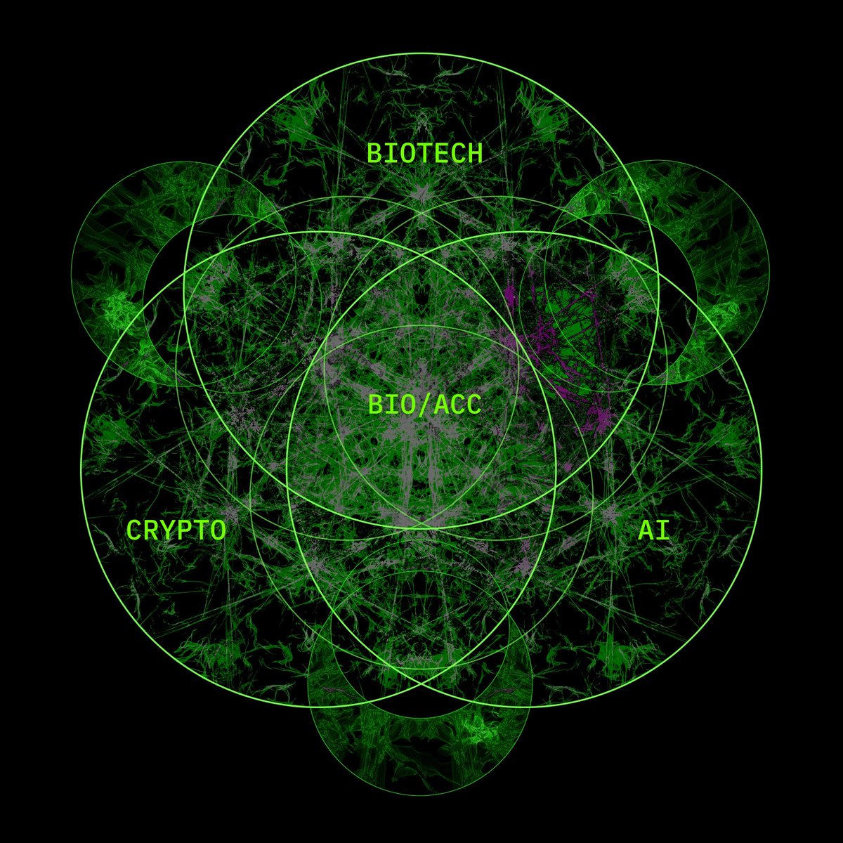 paulkhls's tweet image. scientific acceleration will go parabolic when biotech, AI, and crypto collide
a bio/acc trinity sparking decentralized networks
we will slash drug development from decades to months via regulatory arbitrage and global open collab and data collection
