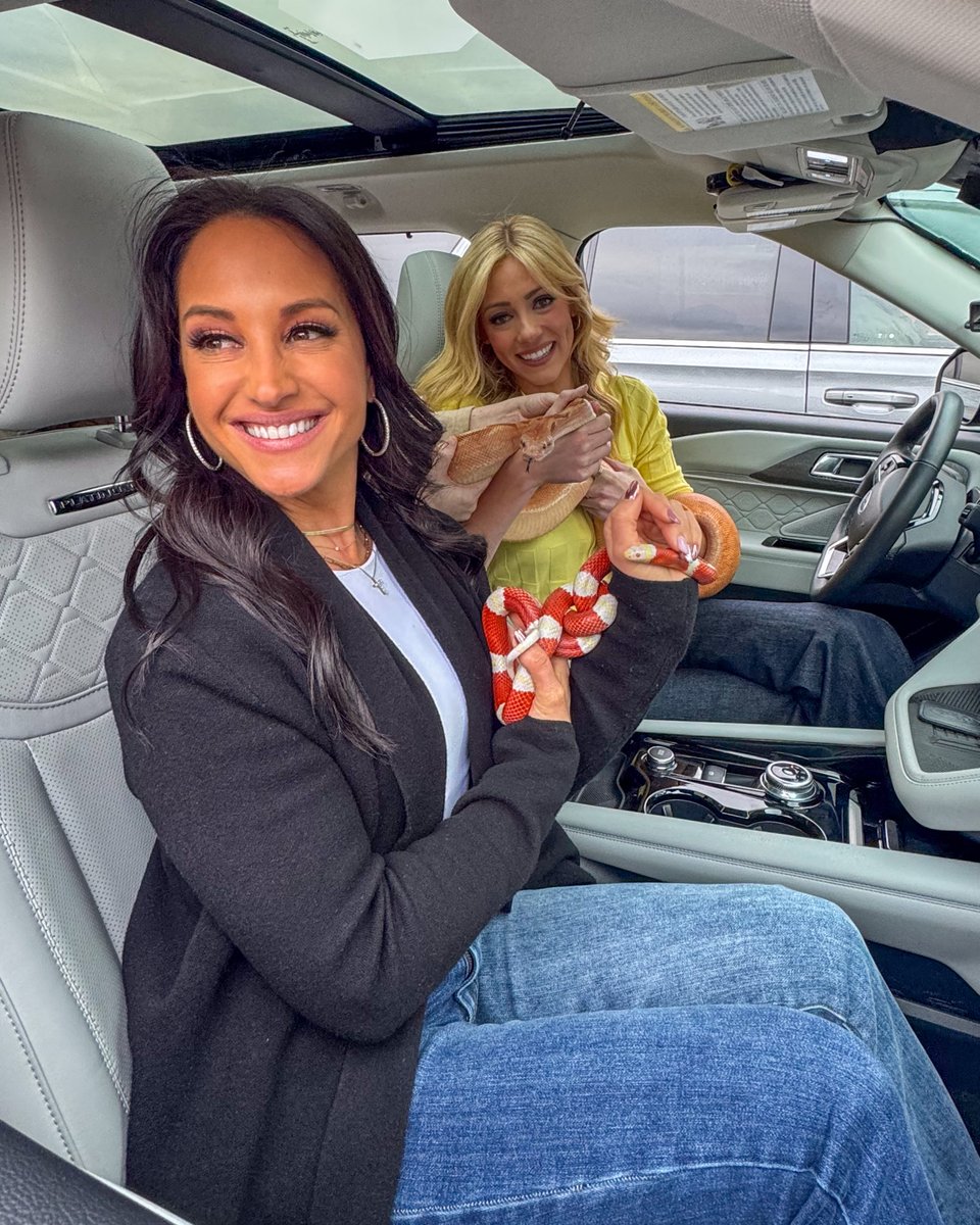 foxnation's tweet image. This is not your average commute. Watch the chaos (and courage) now on Fox Nation. #RideToWork
bit.ly/3TTxO3d
@abbyhornacek @EmilyCompagno