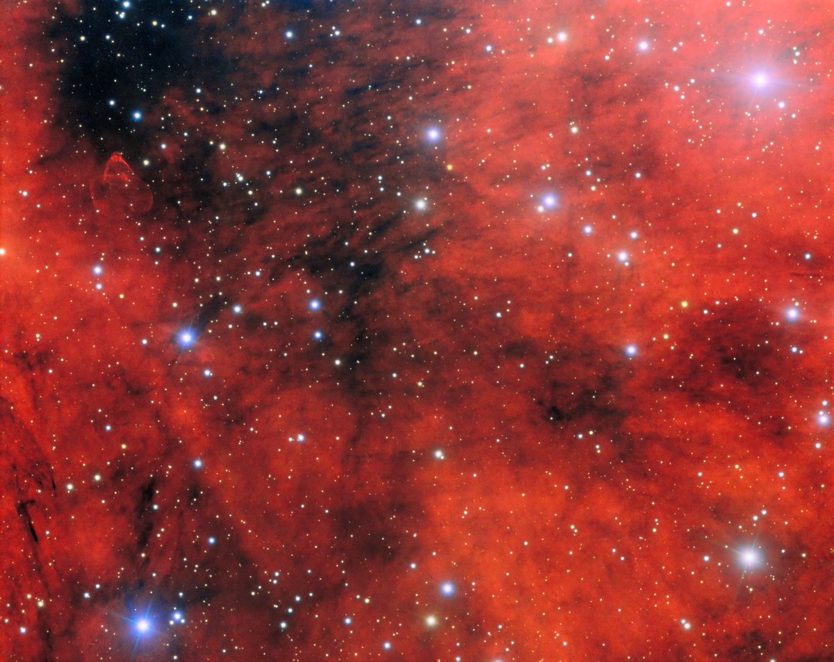 NOIRLabAstro's tweet image. Meet PSR J2030+4415, the galaxy’s weirdest rave light: a gamma-ray pulsar, aka a dead star spinning so fast it beams radiation like a cosmic lighthouse. A teaspoon of it would weigh as much as Mount Everest. Do not stir into coffee.
📷: @GeminiObs/NOIRLab/NSF/AURA