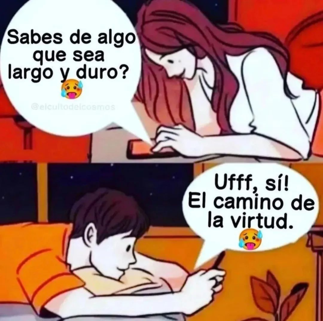 MemesCSociales's tweet image. El camino de la virtud