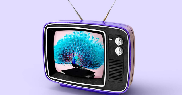 dubowchik's tweet photo. NBCU announced this week that it had wrapped the 2025–2026 upfront season by hitting its highest ad sales volume ever. #ComcastEmp https://t.co/NHLW8k5jpB https://t.co/Nsdze79bzj