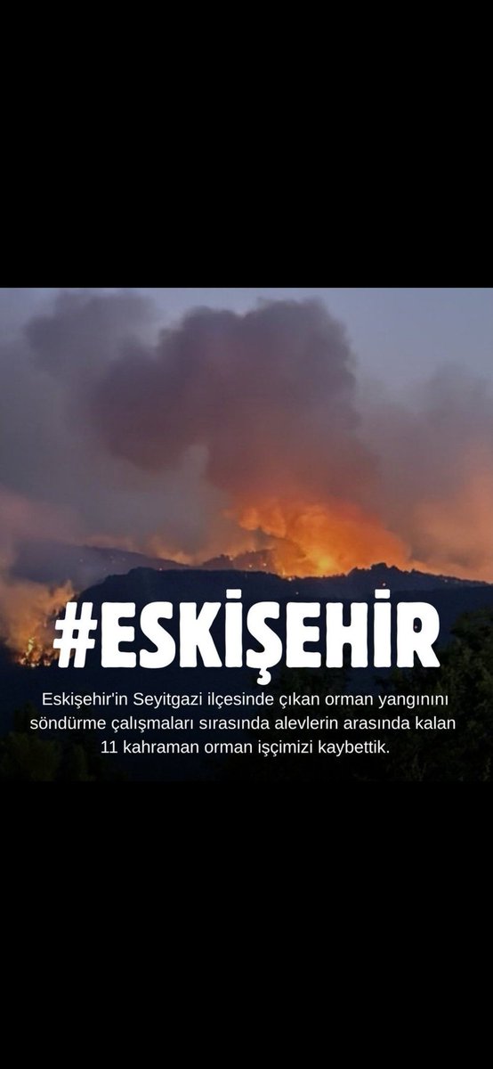 #Eskişehir pkkliları serbest bırakıyorlar gündem değiştirmek için ülkeyi yakıyorlar hep yaptıkları şey Allah belanınizi versin tayit