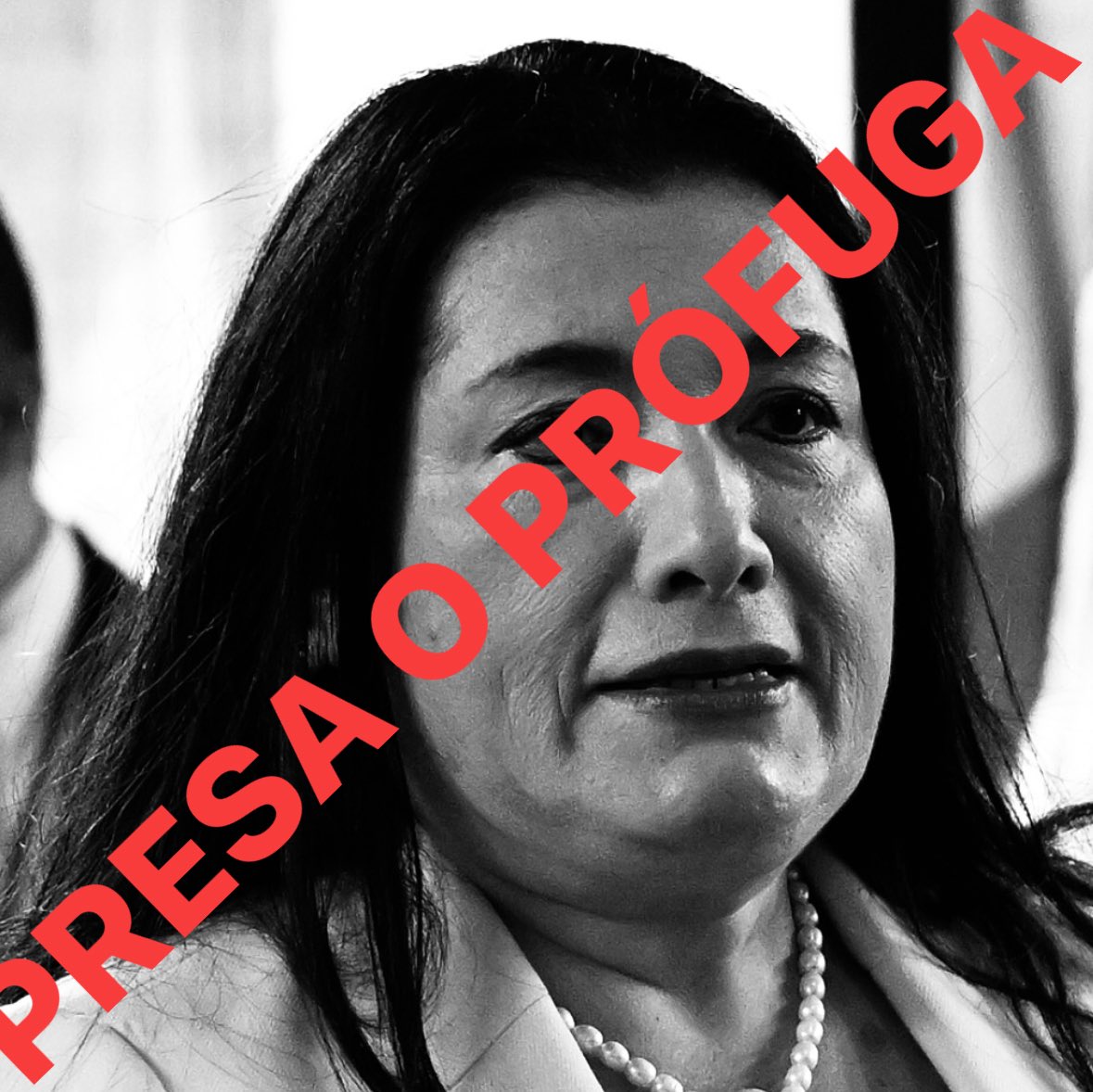 RMendezRuiz's tweet image. La CC rechazó el amparo de Blanca Alfaro, quien así por fin enfrentará un juicio político en el Congreso, por el Caso TREP.
La manera en que ella se coludió con otros para servirle la presidencia de la República a Todd Robinson, es imperdonable.
De alguna manera, tiene que pagar.