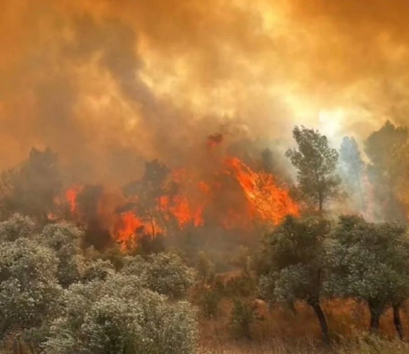 Eskişehir'deki orman yangınını söndürme çalışmalarında alevlerin arasında kalan 10 orman işçimiz şehit oldu.
Allahü teala rahmet eylesin mekanları cennet olsun. Yakınlarına başsağlığı dilerim. 
Milletimizin başı sağ olsun!
#ormanyangını #Eskisehir