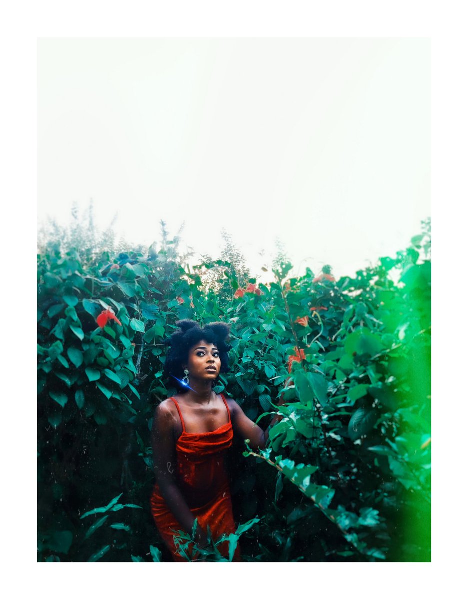 DanielAnya7's tweet image. As seen on my phone. 🍃
