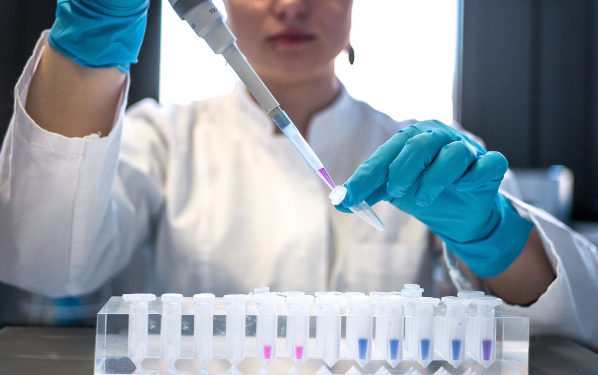 OntUniv's tweet image. As Ontario faces growing demand for skilled workers, particularly in health care & life sciences, universities play a key role in addressing this need.
Learn how Ontario's universities are developing skilled health-care grads & advancing medical research: ontariosuniversities.ca/wp-content/upl……