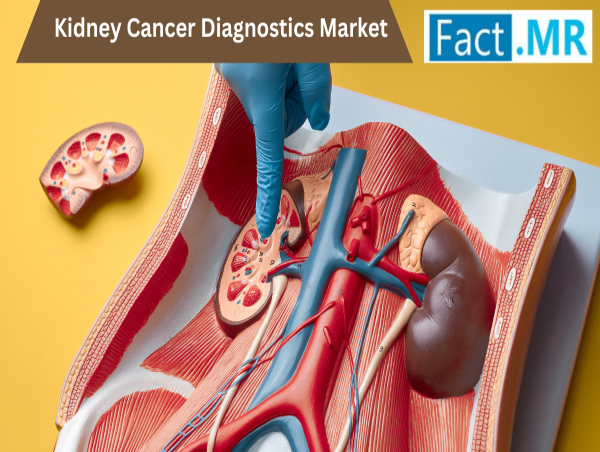 The kidney cancer diagnostics market is set to double by 2035, powered by rising cancer rates, technological innovation, and growing demand for early, accurate detection.   kalkinemedia.com/news/world-new…