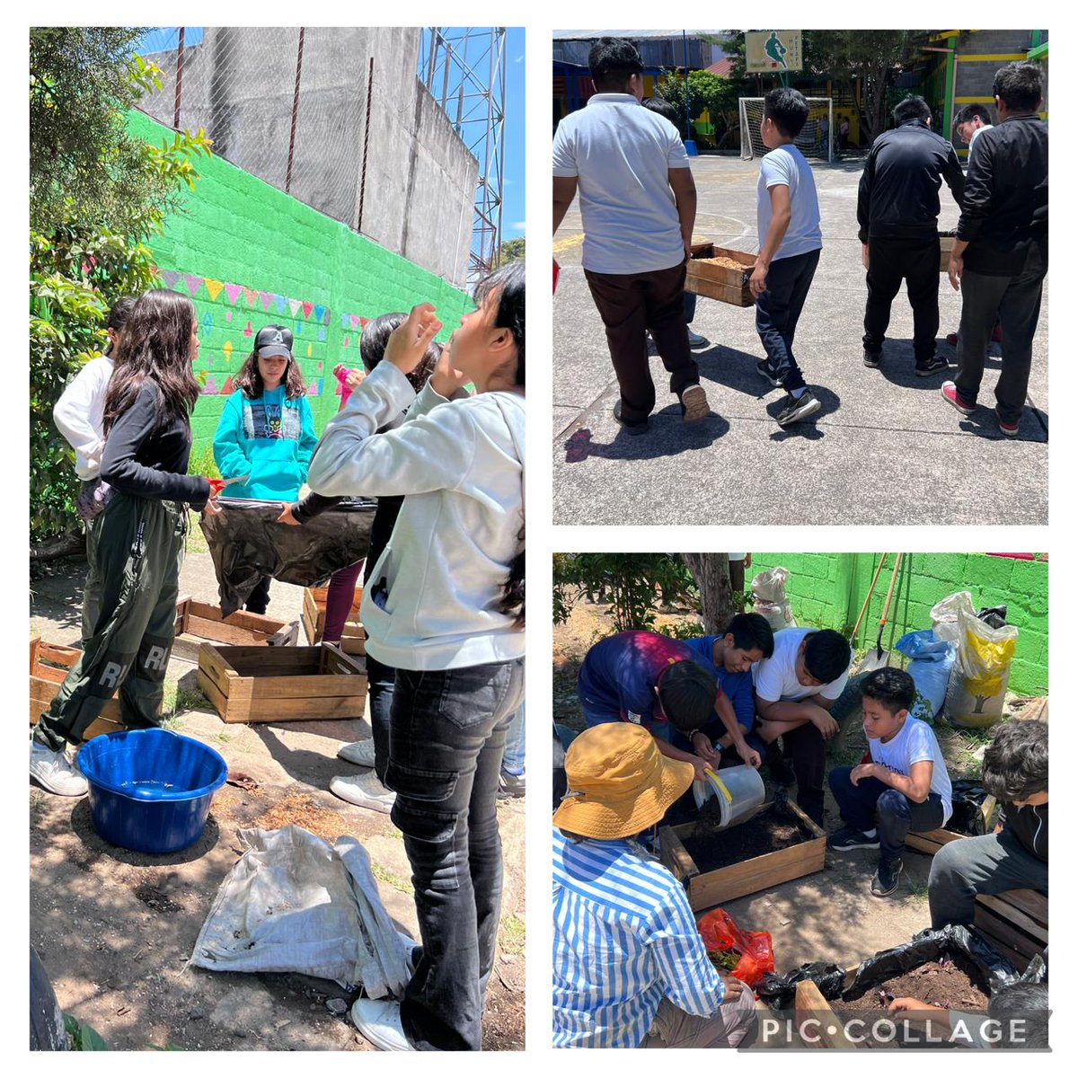 Para impulsar la alimentación escolar y combatir la desnutrición, la ODHAG coordinó con docentes y alumnos, la elaboración de un huerto en la Escuela 679 Los Álamos, ubicada en San Miguel Petapa.