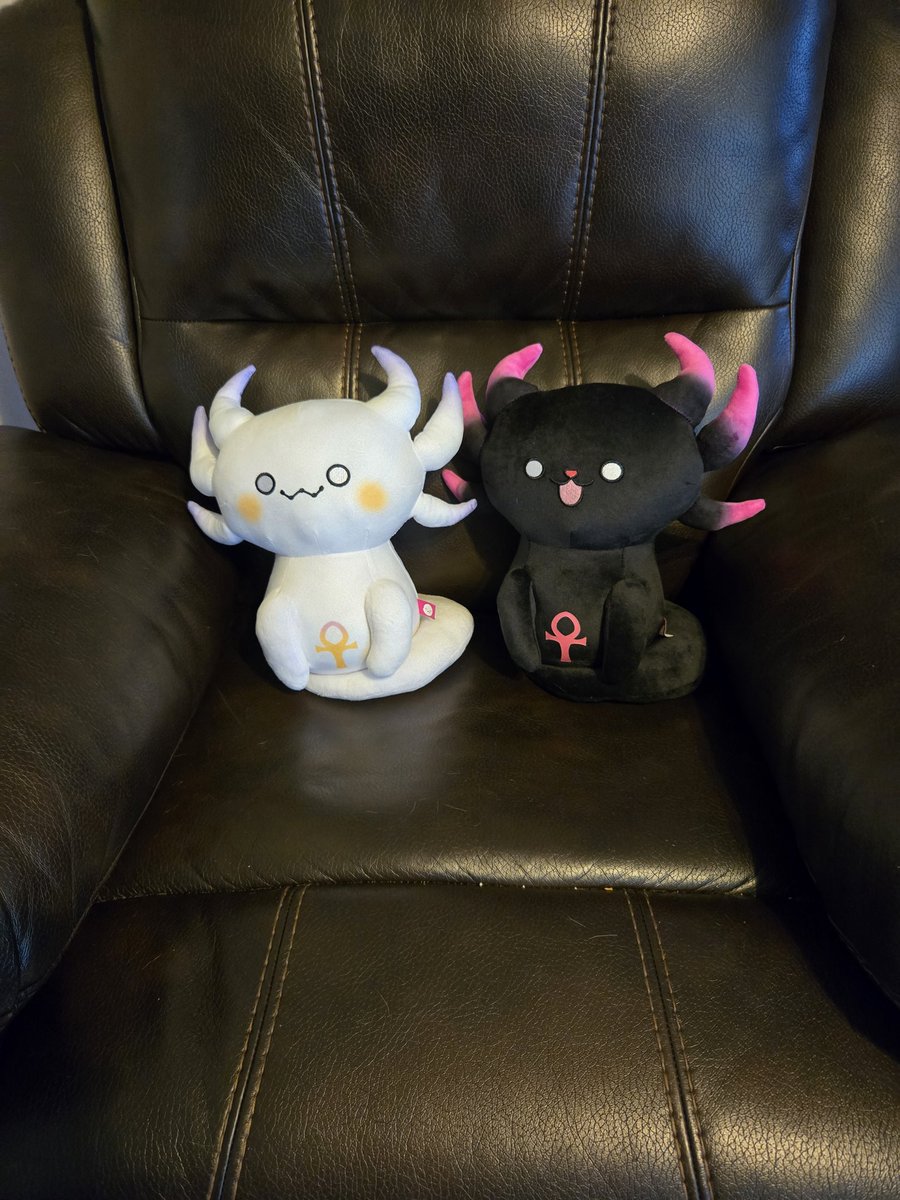 LichWizard's tweet photo. Well look who showed up at my door and immediately took my seat in my recliner. @Trickywii https://t.co/jYZvEG6Yfz