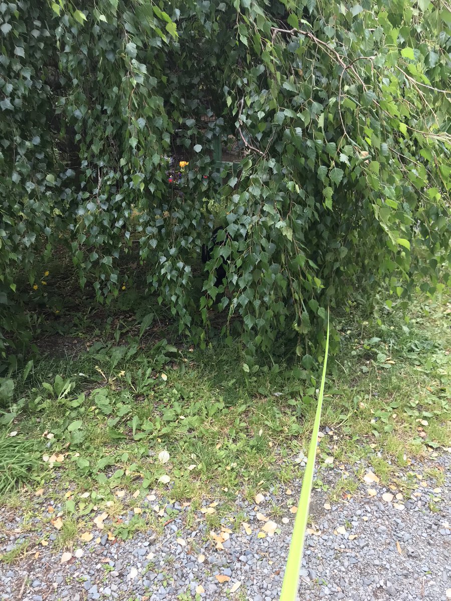 I’m out #wontlookwednesday