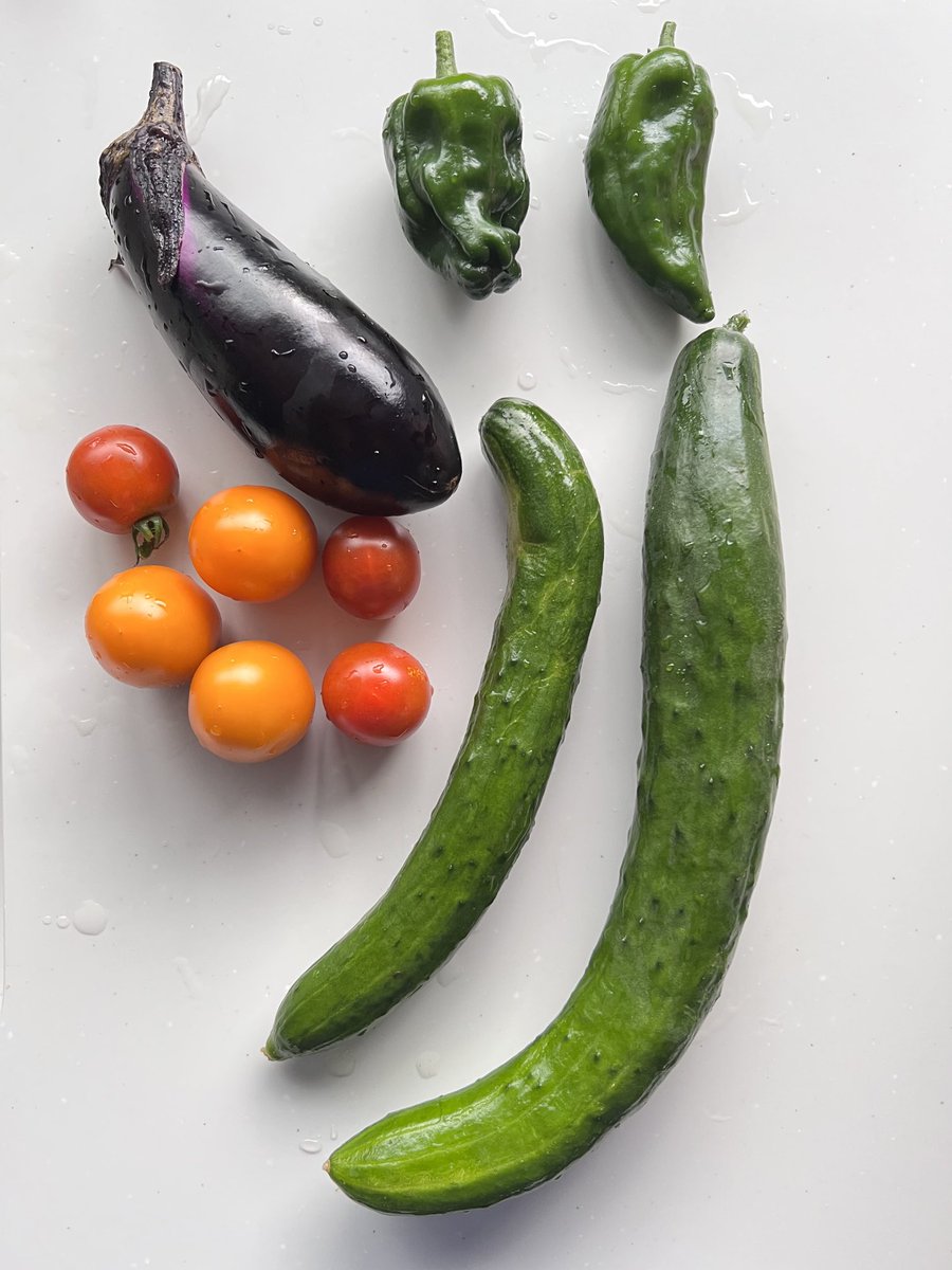 森のきゅうりさま依頼資料 tmb03_081574-m4s.jpg?t=