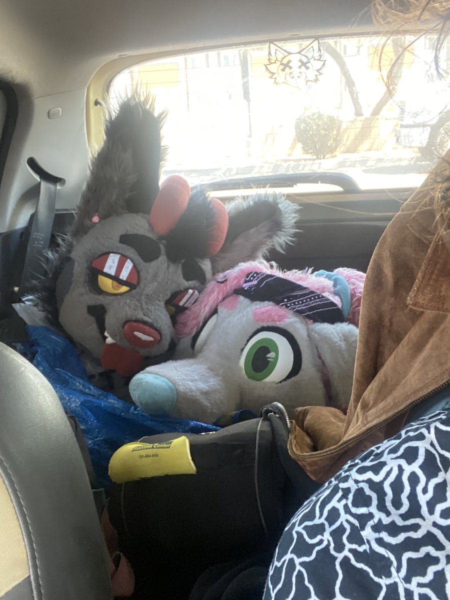 Puppy road-trip 💖
