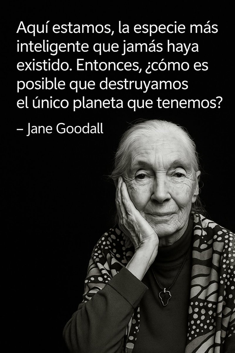 Childfree Perú (@childfreeperu) on Twitter photo 