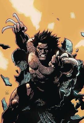 Blu Verine (@imweaponx) on Twitter photo It's Wolverine Wednesday, my favorite day of the week. Here's some more masterpieces by <a href="/leinilyu/">Leinil Yu 🇵🇭</a> #WolverineWednesday It's Wolverine Wednesday, my favorite day of the week. Here's some more masterpieces by <a href="/leinilyu/">Leinil Yu 🇵🇭</a> #WolverineWednesday