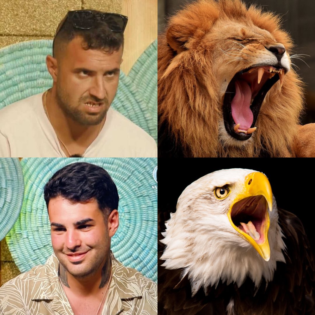 ragazze_'s tweet photo. Date un premio a chi fa gli effetti sonori 😂 #TemptationIsland https://t.co/63vd0qfoR9
