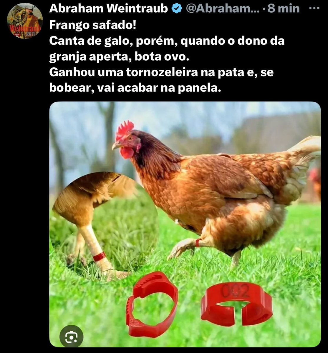 Esse é o 💩 do Weintraub. 
Um anti-patriota fudido. 
Um verdadeiro 🪱.

Se você segue um cara desses, você está dando palco para maluco dançar.