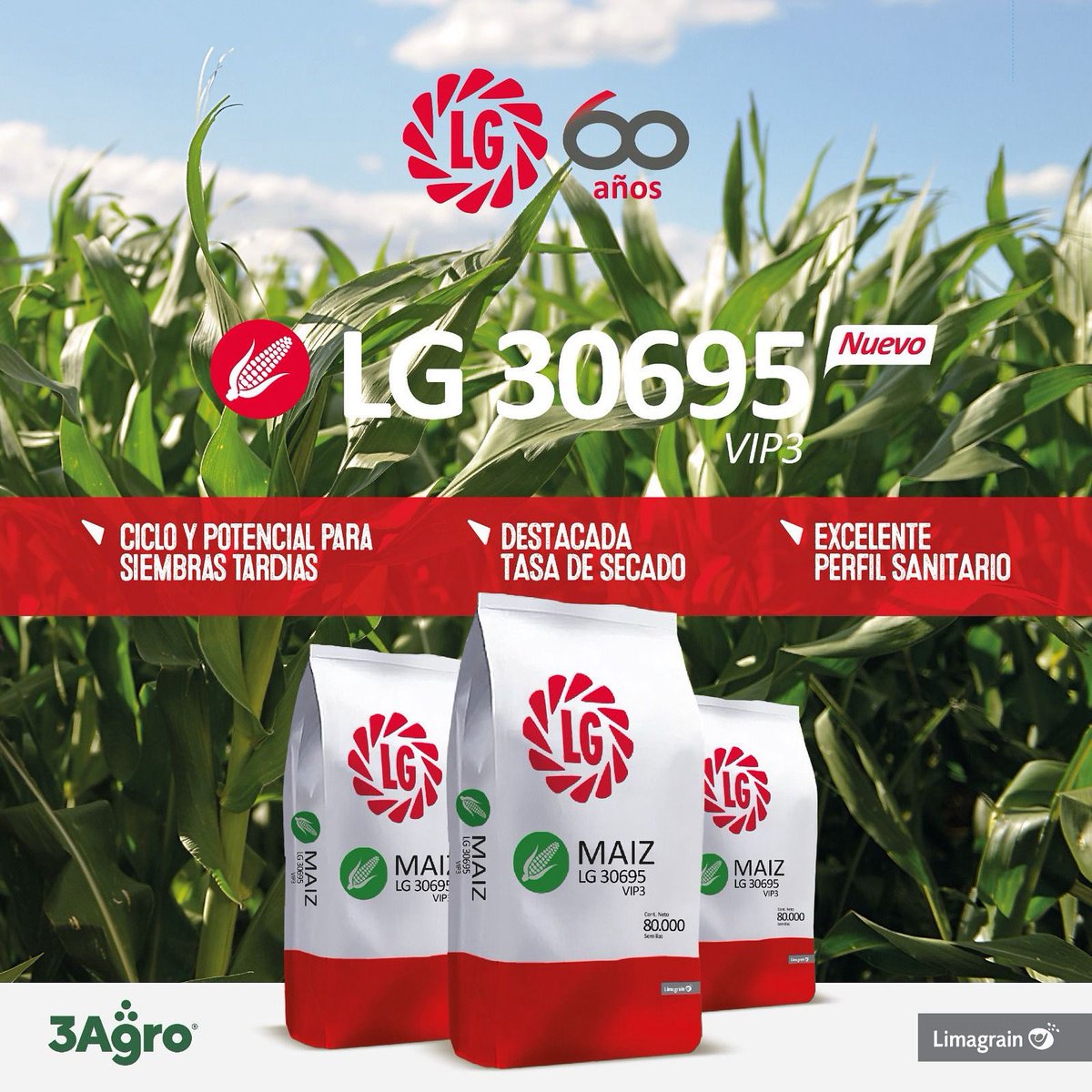 <a href="/lgsemillas/">LG SEMILLAS 🌽🌻🌾🌱</a> 📣🆕𝗟𝗚 𝟯𝟬𝟲𝟵𝟱 𝗩𝗜𝗣𝟯⤵️

👉Ciclo y potencial para siembras tardías 
👉Destacada tasa de secado 
👉Excelente perfil sanitario 

<a href="/lgsemillas/">LG SEMILLAS 🌽🌻🌾🌱</a> 

#3agro